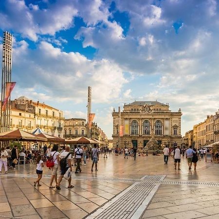 Апартаменты Le Havre De Paix Montpellierain - Terrasse Et Parking Prive Экстерьер фото